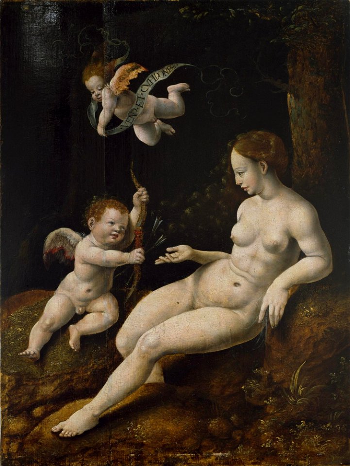 Netherlandish School - Venus and Two Cupids - 1987.29 - Dallas Museum of Art