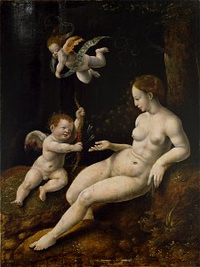 Netherlandish School - Venus and Two Cupids - 1987.29 - Dallas Museum of Art