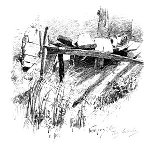 Neuhaus 01