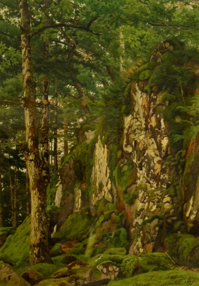 MF de Dartein-Rocher dans la forêt d'Ottrott