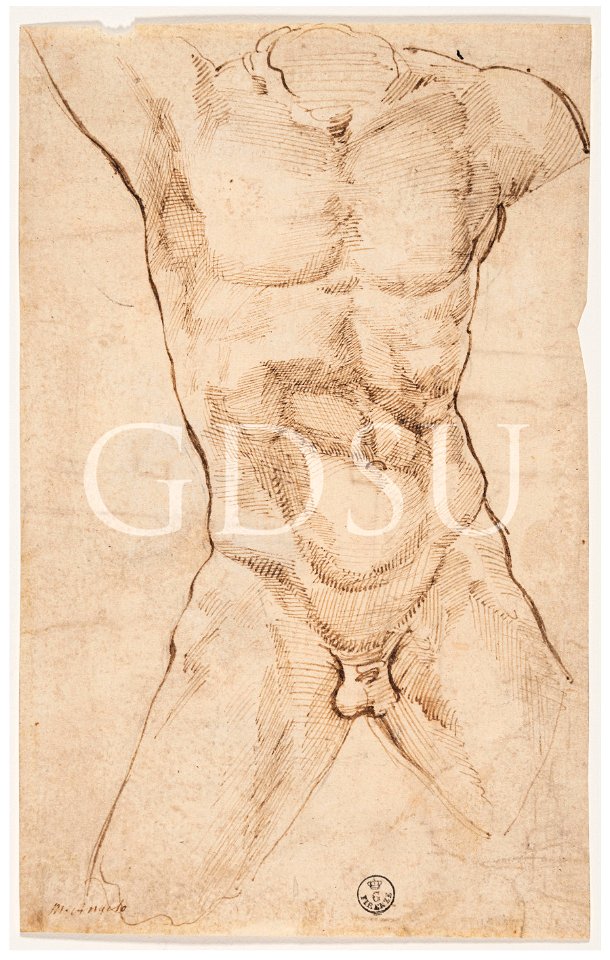 Michelangelo - inv 14749 F r. - copia da