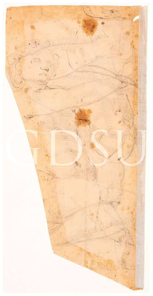 Michelangelo - inv. 18237 F v., Figura maschile e altri studi anatomici - copia da