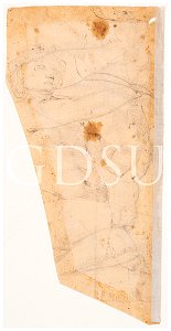Michelangelo - inv. 18237 F v., Figura maschile e altri studi anatomici - copia da