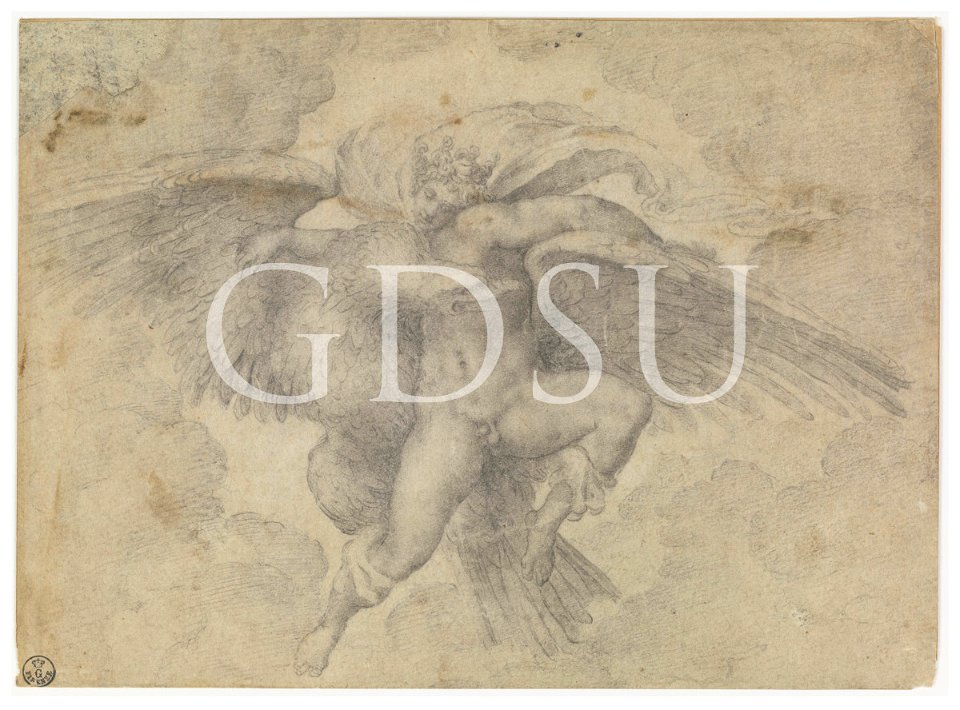 Michelangelo - inv. 245 F r., Ratto di Ganimede - copia da
