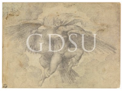 Michelangelo - inv. 245 F r., Ratto di Ganimede - copia da