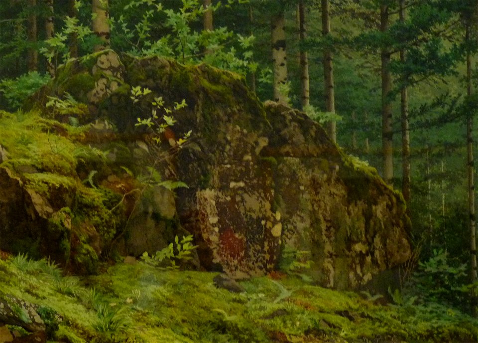 MF de Dartein-Sous-bois à Ottrott