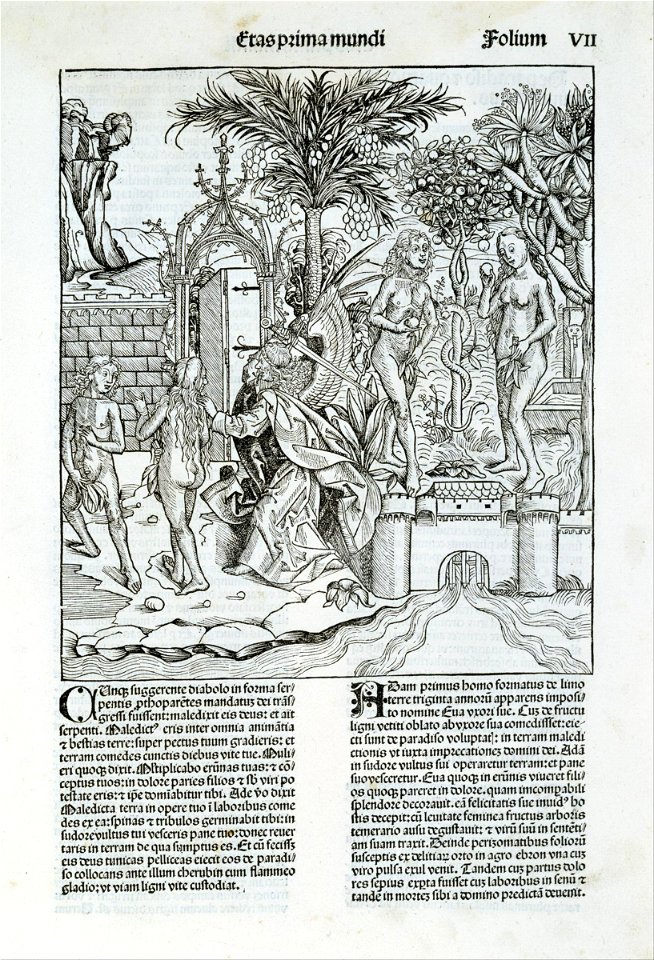Michael Wolgemut - The Expulsion from Paradise - Google Art Project