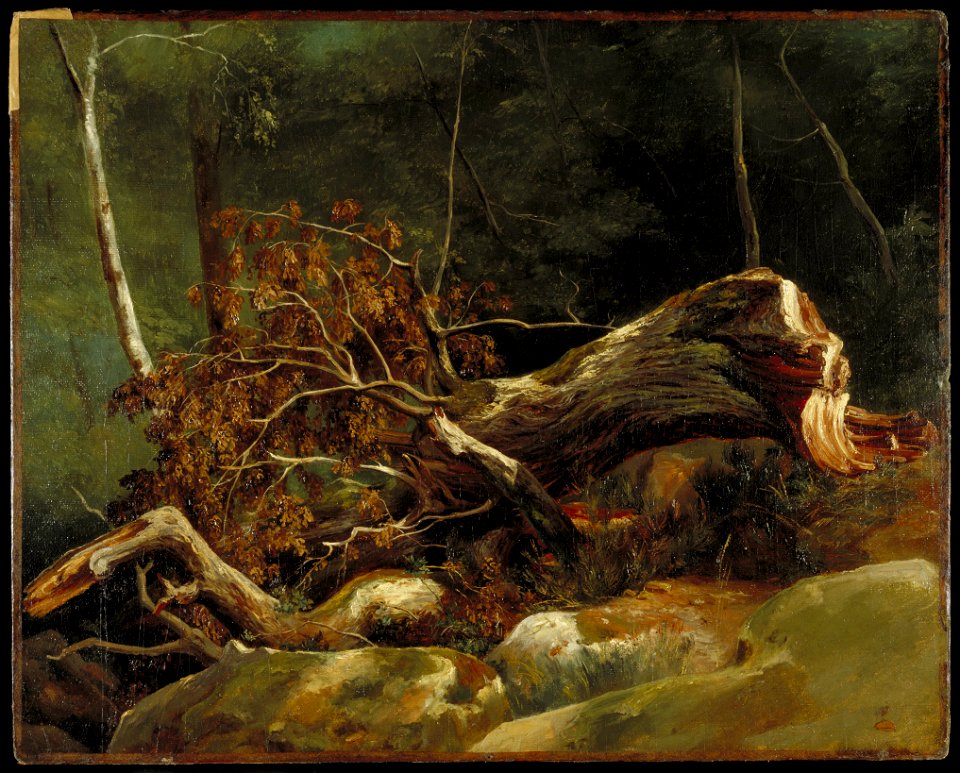 Achille Etna Michallon - The Fallen Branch, Fontainebleau - 98.34 - Minneapolis Institute of Arts