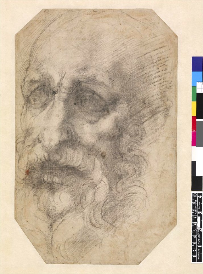Michelangelo - Head of a bearded man turned slightly to l. 1531-3, 1895,0915.511