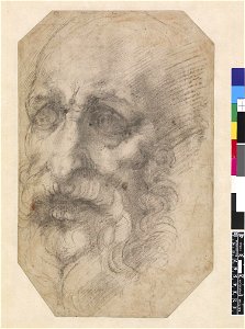 Michelangelo - Head of a bearded man turned slightly to l. 1531-3, 1895,0915.511