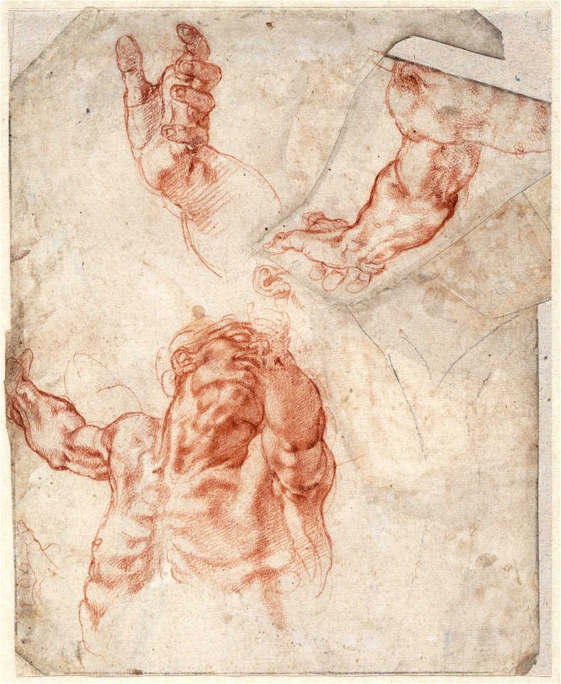Michelangelo - Figuurstudies voor de kruisiging van Haman, A 016 recto