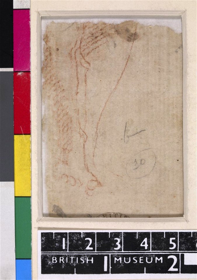 Michelangelo - Verso Legs, 1859,0625.552