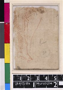 Michelangelo - Verso Legs, 1859,0625.552