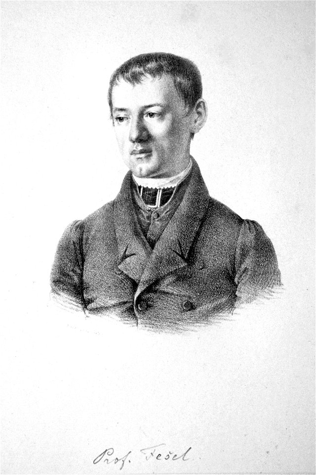 Michael Josef Fesl Litho