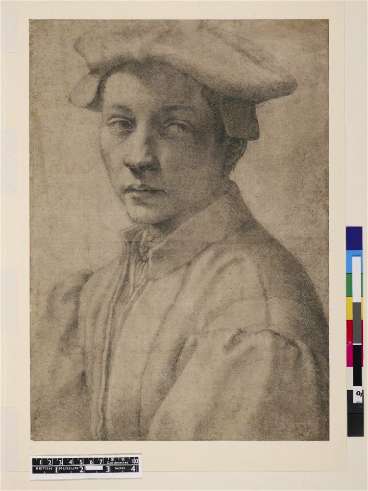 Michelangelo - Portrait of Andrea Quaratesi, 1895,0915.519