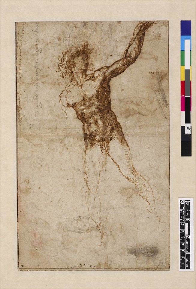 Michelangelo - A nude young man, to front, looking to r., beckoning, 1887,0502.117