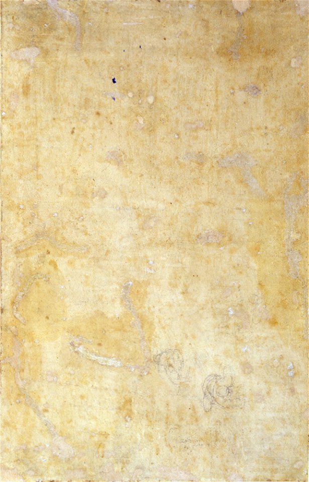Michelangelo - La caduta di Fetonte - dis. 177 verso