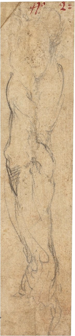 Michelangelo - Estudio de brazo derecho de hombre, D001733