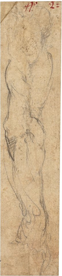 Michelangelo - Estudio de brazo derecho de hombre, D001733