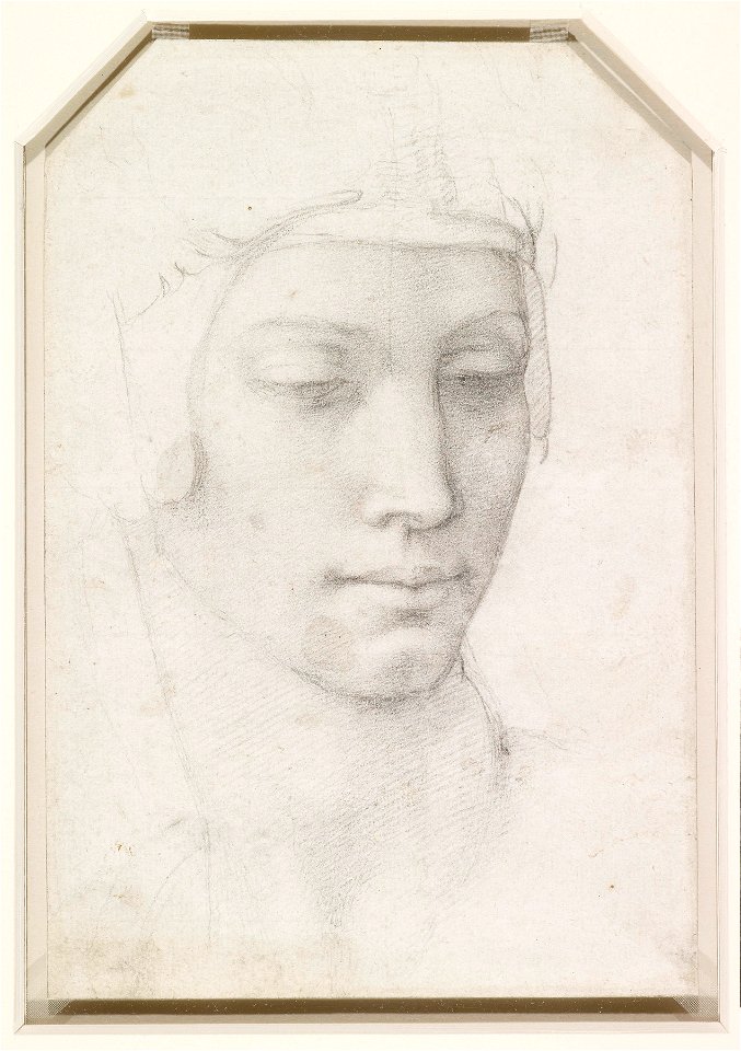 Michelangelo - Recto The head of the Virgin, RCIN 912764