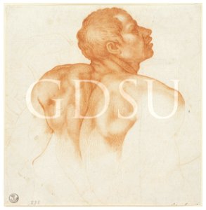 Michelangelo - inv. 238 F, Busto d'uomo di spalle e schizzo di un'altra figura - copia da
