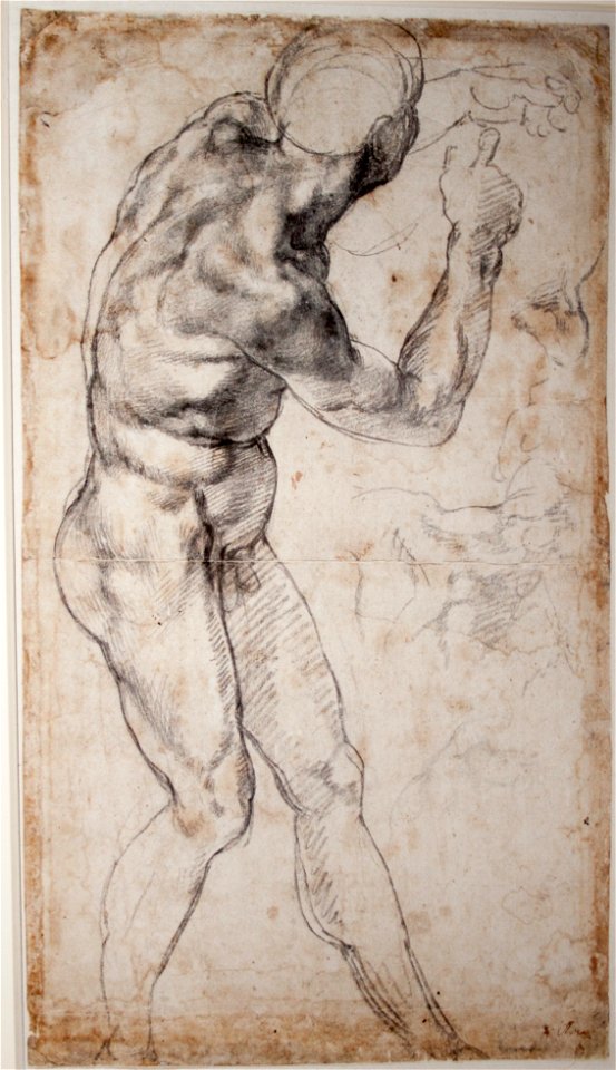 Michelangelo - Male Nude, turning to the Right