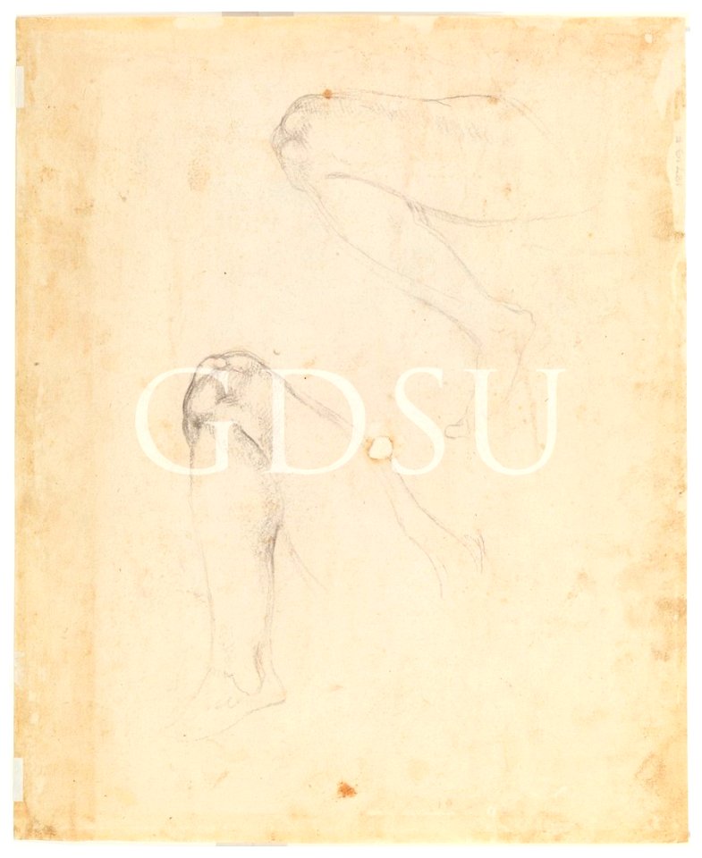 Michelangelo - inv 18719 F v.