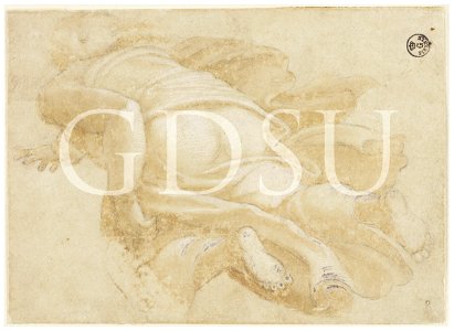 Michelangelo - inv. 10898 F, La creazione delle piante - copia da