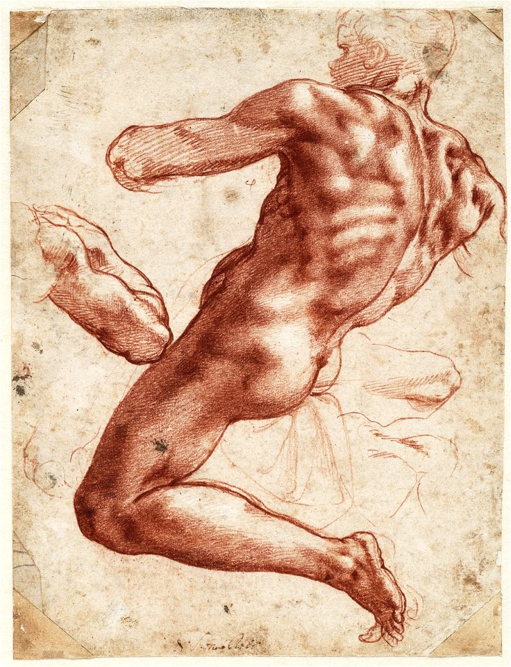 Michelangelo - Figure study for an Ignudo in the Sistine Chapel, A 027 recto