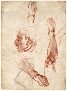 Michelangelo - Study of a male head and figure studies for the Sistine, A 020 recto