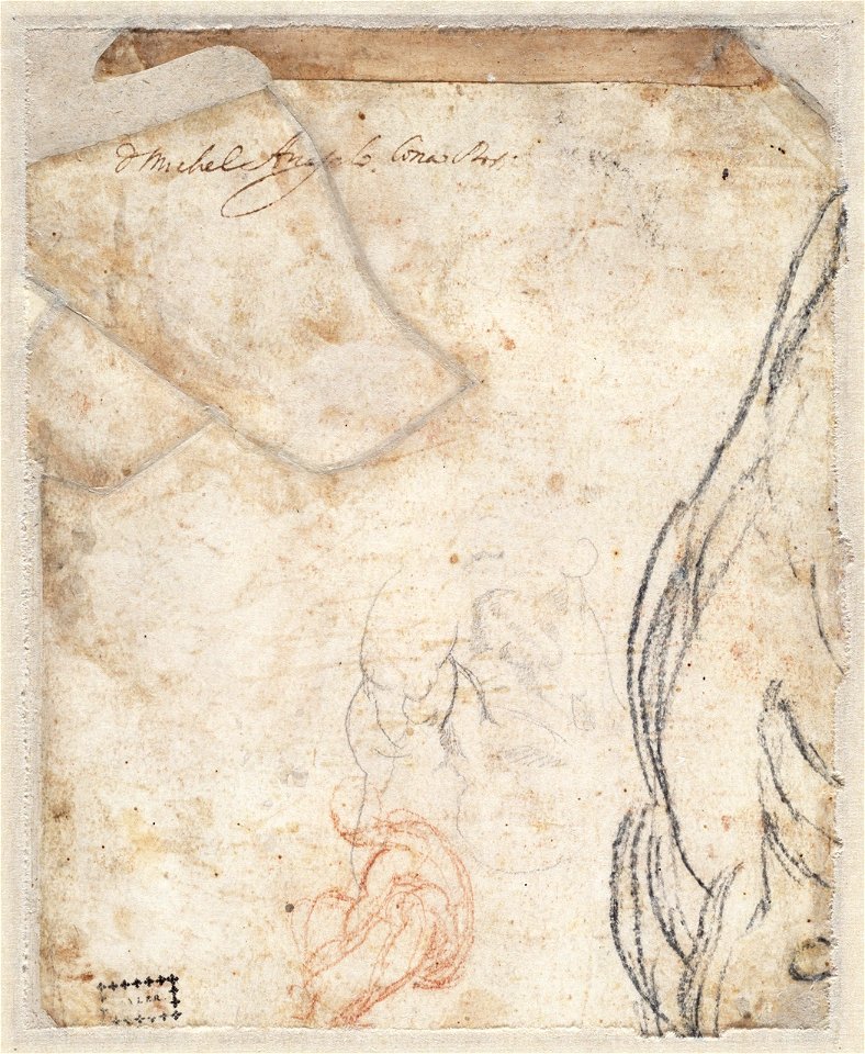 Michelangelo - Enkele schetsen (het hoofd van Haman), A 016 verso