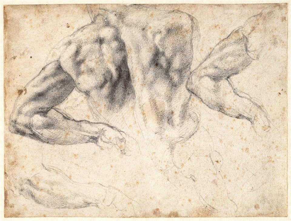 Michelangelo - Studie voor de sculptuur 'Dag' op de tombe van Giuliano de' Medici, A 030 recto