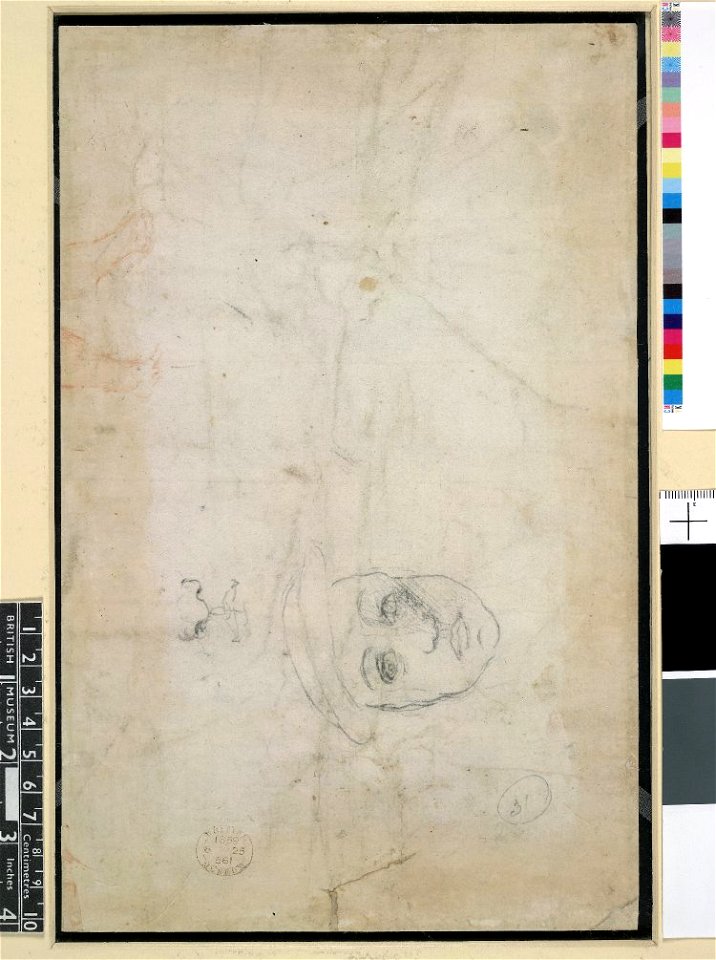 Michelangelo - Verso Head of a youth, a nose and mouth, 1859,0625.561