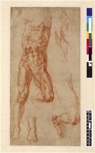 Michelangelo - Study of a crucified man (Haman) with separate leg and foot studies. 1512, 1895,0915.497
