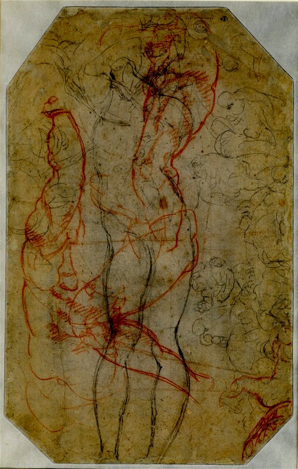 Michelangelo - Verso Studies of arms and legs and sketches of figures, 1895,0915.511
