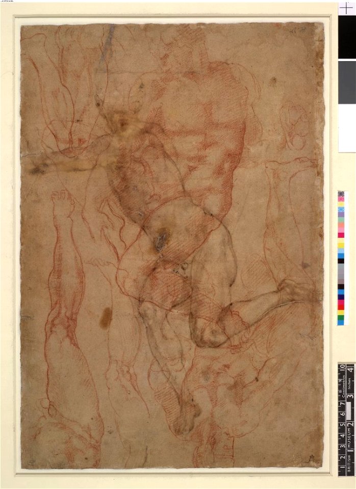 Michelangelo - Verso Studies of nude figures and legs. 1508-10, 1887,0502.116