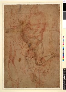 Michelangelo - Verso Studies of nude figures and legs. 1508-10, 1887,0502.116