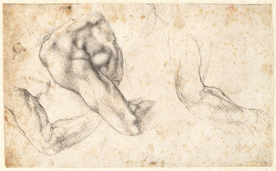 Michelangelo - Waarschijnlijk studie voor de sculptuur 'Dag' op de tombe van Giuliano de' Medici, A 036