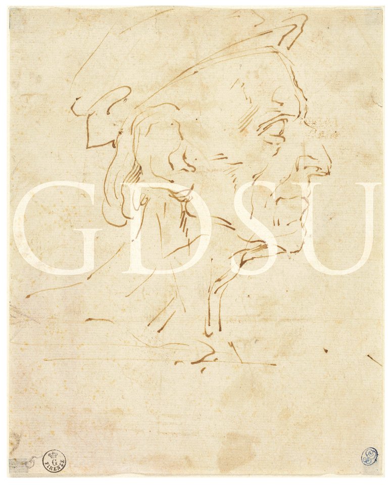 Michelangelo - inv. 171 S r., Testa di uomo anziano di profilo - attribuzione tradizionale
