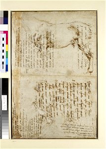 Michelangelo - Verso Five drafts of Poems, WA1846.39