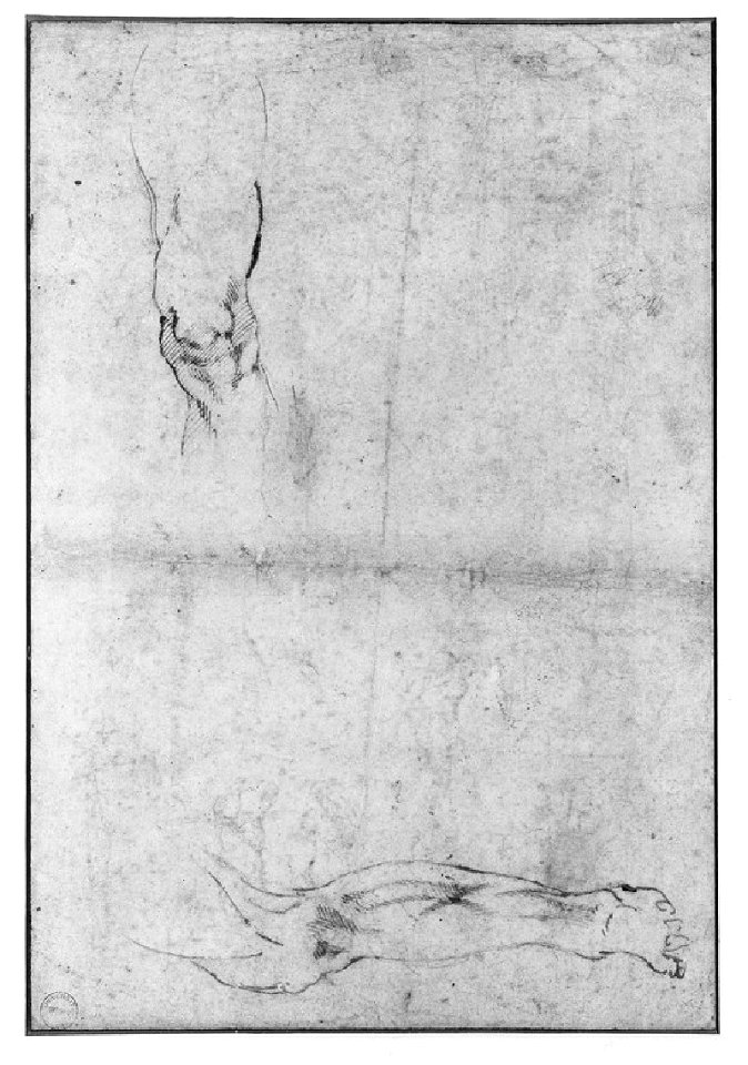 Michelangelo - Verso Studies of a Man's leg, WA1846.43
