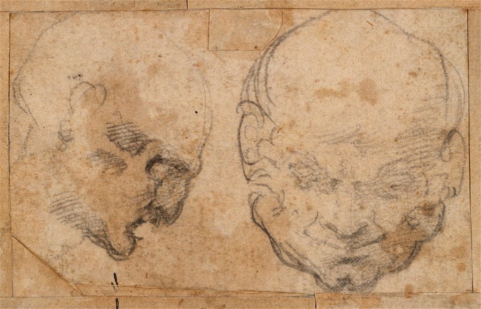 Michelangelo - Studies of Men's Heads, 1938.49