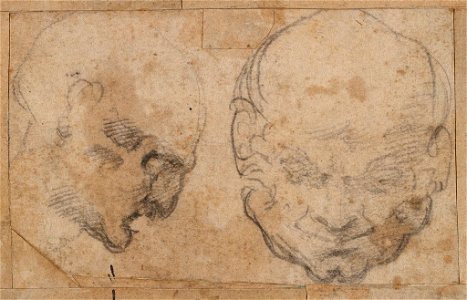 Michelangelo - Studies of Men's Heads, 1938.49