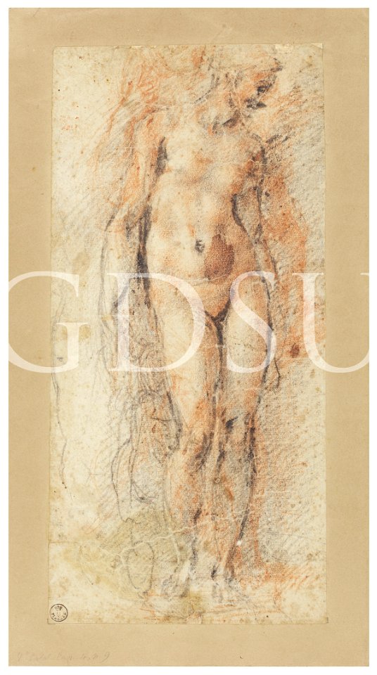 Michelangelo - inv. 251 F r., Figura femminile nuda - attribuzione tradizionale
