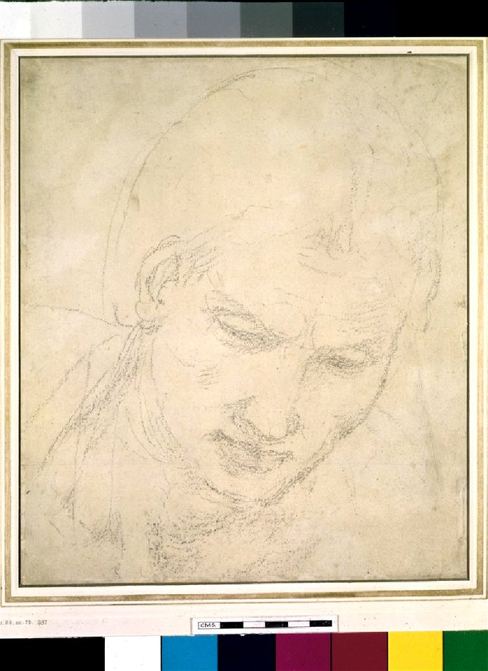 Michelangelo - Recto Study of a Head, WA1846.83