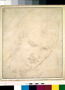 Michelangelo - Recto Study of a Head, WA1846.83