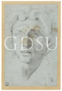 Michelangelo - inv. 240 F r., Testa di donna con acconciatura a volute - copia da