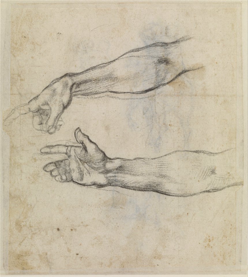 Michelangelo Buonarroti - Studies of an outstretched arm for the fresco 'The Drunkenness of Noah' in the Sistine Chapel - Google Art Project