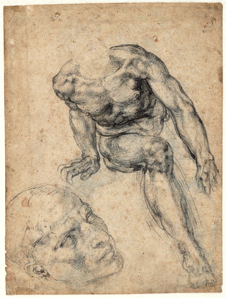 Michelangelo - Study of a seated male nude and of a head for the Sistine Chapel, A 023 recto