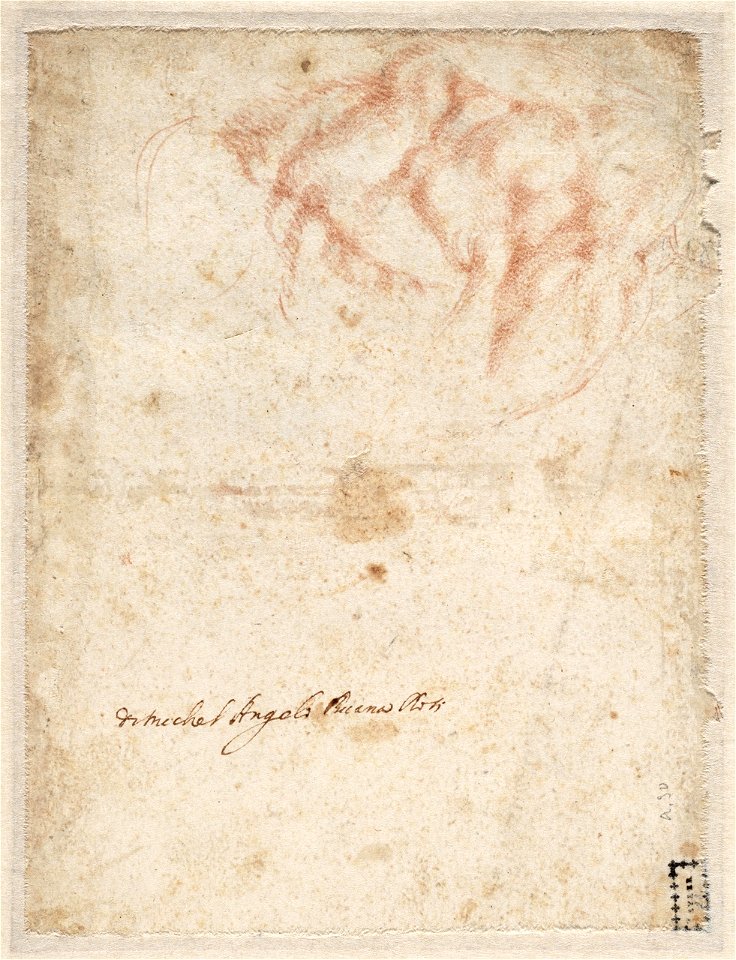 Michelangelo - Studie voor de sculptuur 'Dag' op de tombe van Giuliano de' Medici, A 030 verso